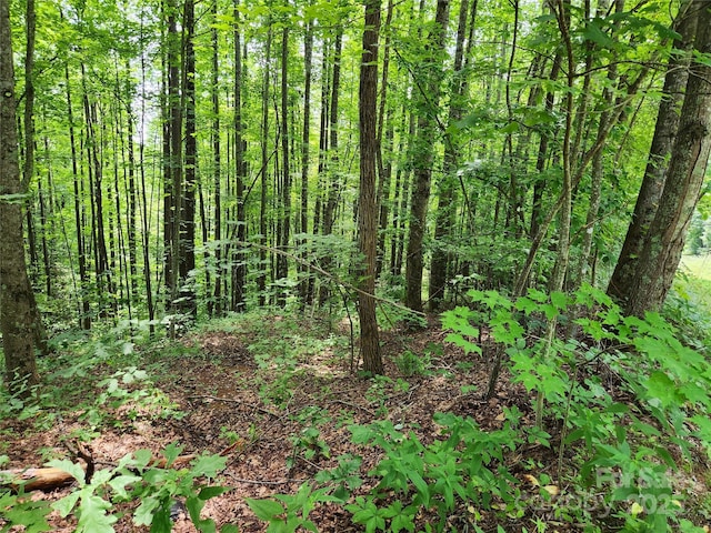 LOTS78 Mckenzie Way S, Old Fort, NC 28762