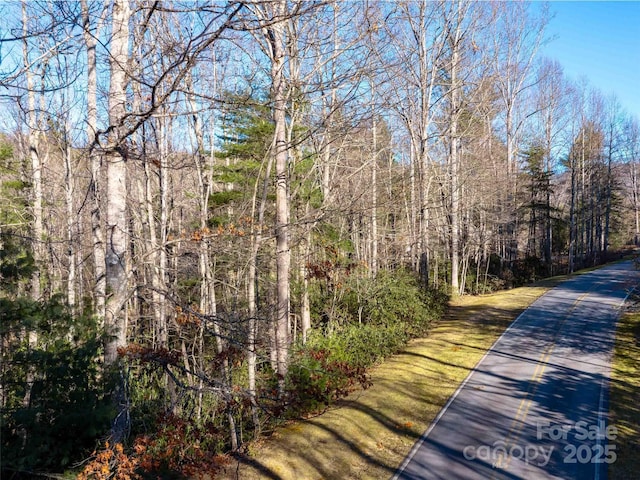 000 Chattooga Run Unit 306, Hendersonville NC, 28739 land for sale