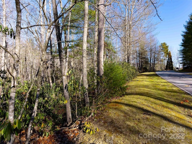 000 Chattooga Run Unit 306, Hendersonville, NC 28739 - photo 2