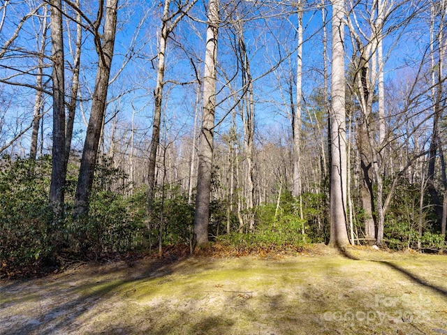 000 Chattooga Run Unit 306, Hendersonville, NC 28739 - photo 3