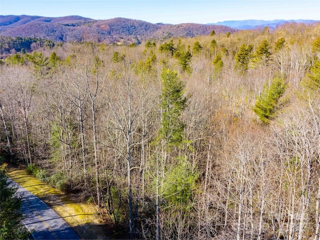 000 Chattooga Run Unit 306, Hendersonville, NC 28739 - photo 4