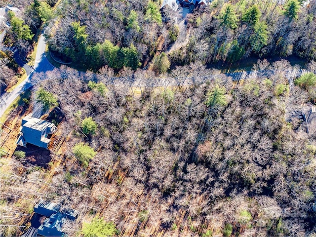 000 Chattooga Run Unit 306, Hendersonville, NC 28739 - photo 5