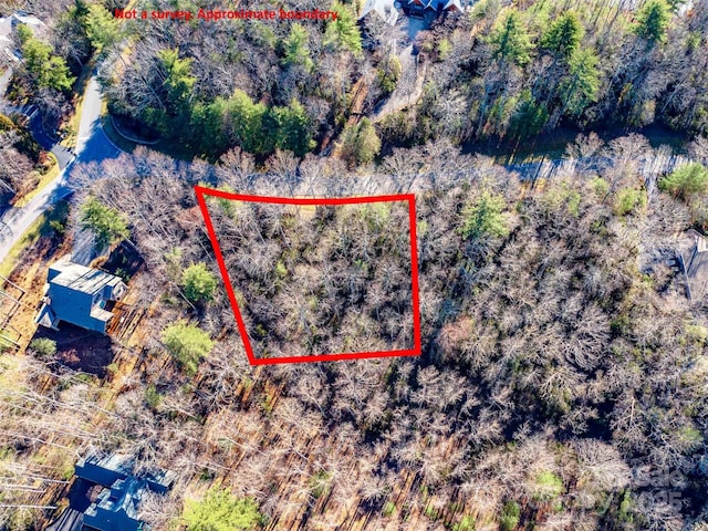 000 Chattooga Run Unit 306, Hendersonville, NC 28739 - photo 6