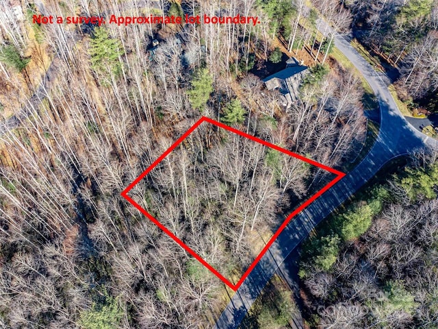 000 Chattooga Run Unit 306, Hendersonville, NC 28739 - photo 7