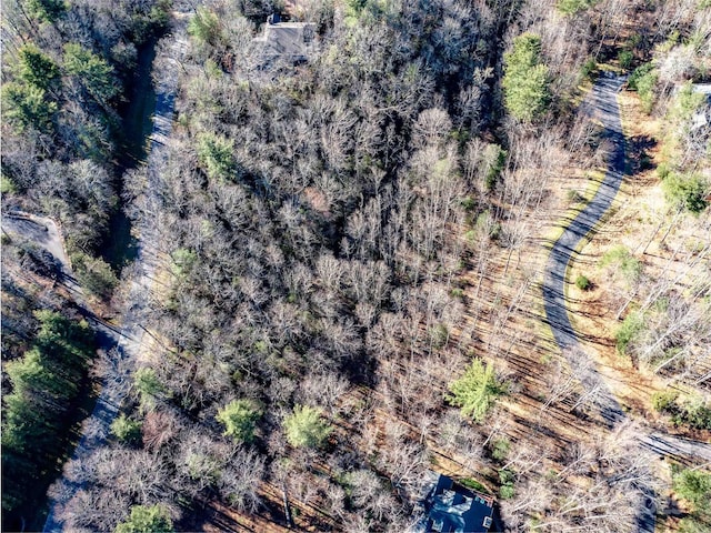 000 Chattooga Run Unit 306, Hendersonville, NC 28739 - photo 8