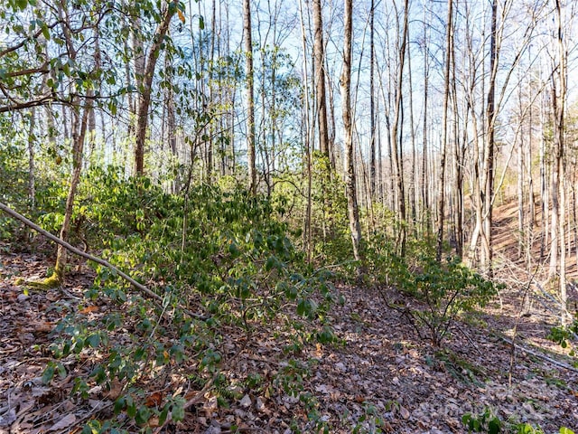 000 Chattooga Run Unit 306, Hendersonville, NC 28739 - photo 11