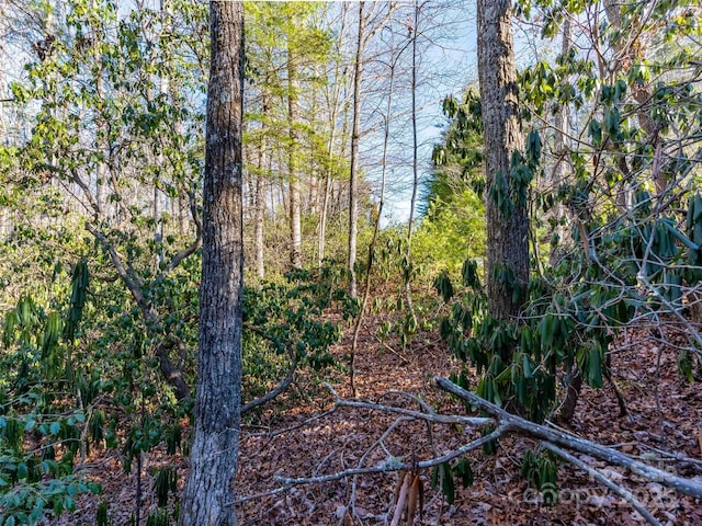 000 Chattooga Run Unit 306, Hendersonville, NC 28739 - photo 12