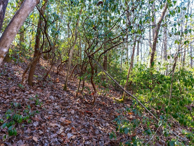 000 Chattooga Run Unit 306, Hendersonville, NC 28739 - photo 13