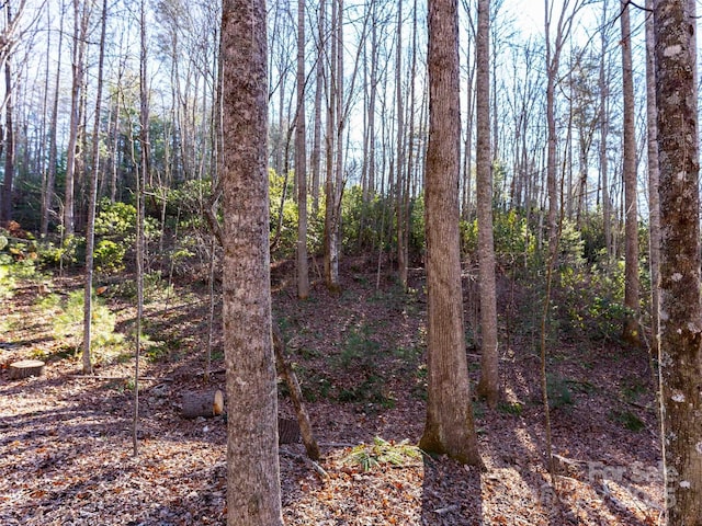 000 Chattooga Run Unit 306, Hendersonville, NC 28739 - photo 14