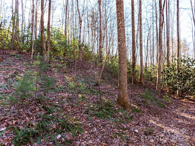 000 Chattooga Run Unit 306, Hendersonville, NC 28739 - photo 15