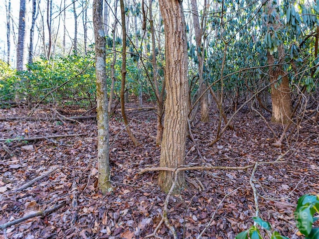 000 Chattooga Run Unit 306, Hendersonville, NC 28739 - photo 16