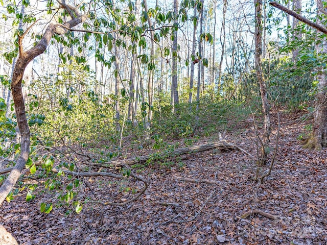 000 Chattooga Run Unit 306, Hendersonville, NC 28739 - photo 17