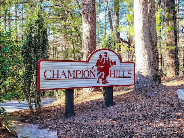 000 Chattooga Run Unit 306, Hendersonville, NC 28739 - photo 18