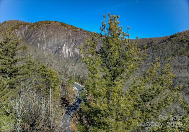 135 Lonesome Valley Rd, Sapphire, NC 28774
