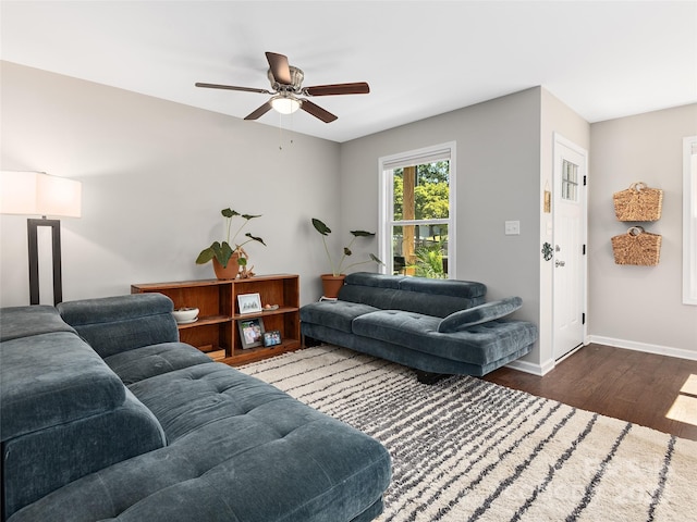 living room featuring ceiling fan and dark hardwood / wood-style flooring