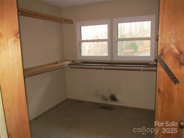 view of spacious closet