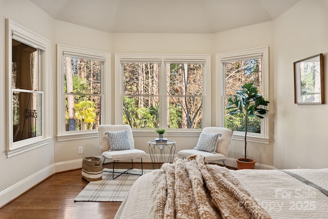 bedroom featuring wood-type flooring