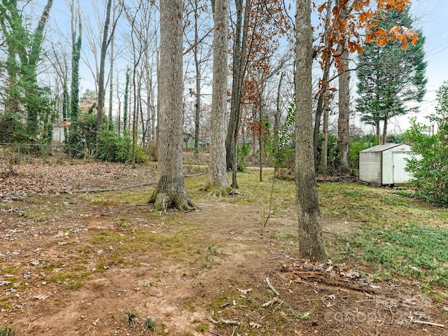 view of yard with a shed