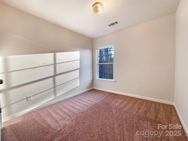 spare room with carpet floors