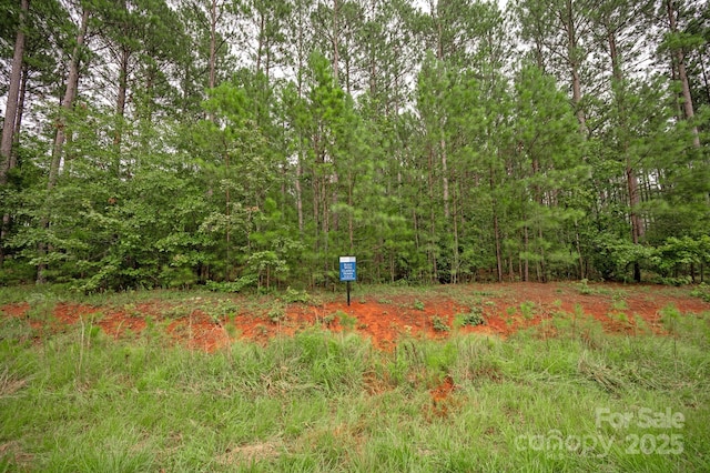 view of yard with a wooded view