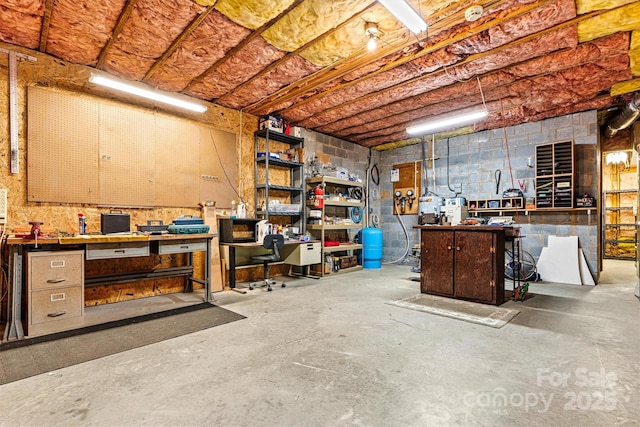 basement featuring a workshop area