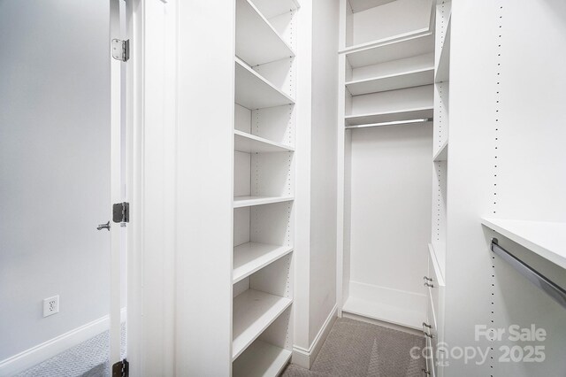 view of walk in closet