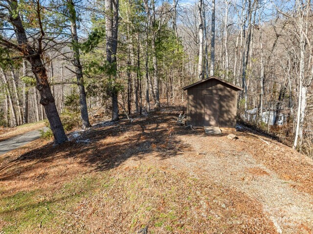 view of yard featuring a shed