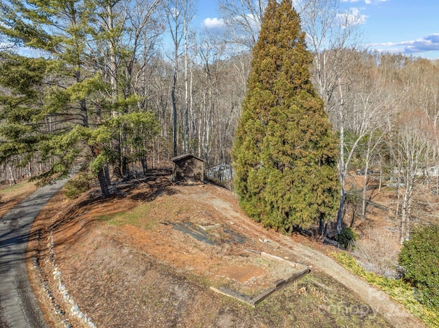 100 Beech Valley Est, Weaverville, NC 28787 - photo 24