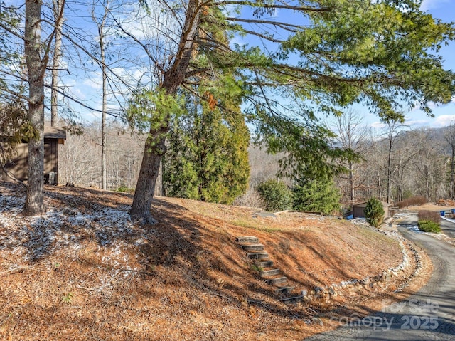 100 Beech Valley Est, Weaverville, NC 28787 - photo 25