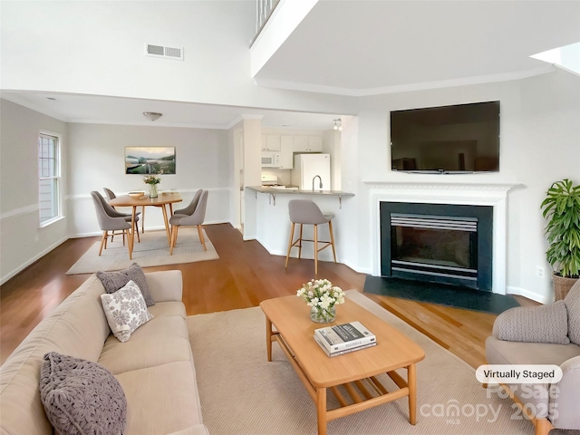 living room featuring wood-type flooring and ornamental molding