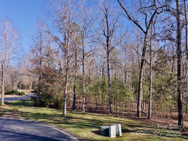 Listing photo 2 for 118 Candor Oaks Dr, New London NC 28127