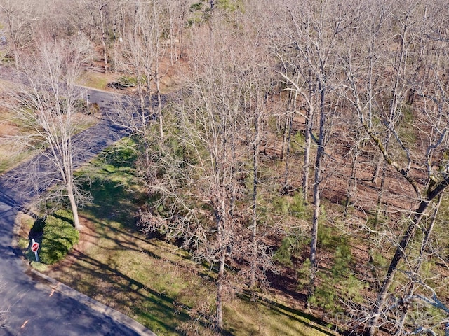 Listing photo 3 for 118 Candor Oaks Dr, New London NC 28127