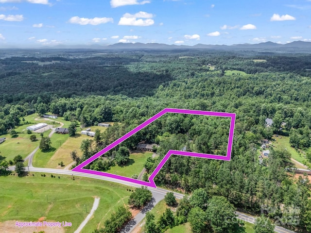 1737 Whitesides Rd, Forest City, NC 28043 - aerial view of property and surrounding area with a mountain backdrop and property parcel outlined
