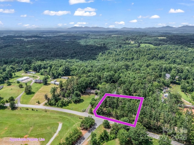 1737 Whitesides Rd, Forest City, NC 28043 - aerial view of property and surrounding area with property parcel outlined and a mountainous background