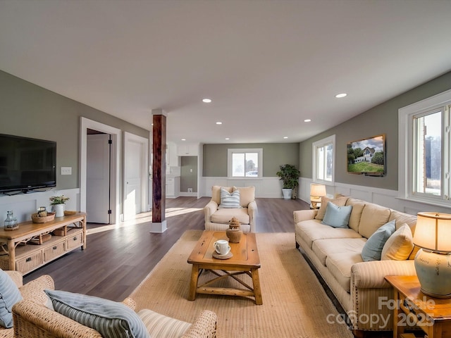 living room featuring hardwood / wood-style floors and a healthy amount of sunlight