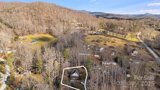 birds eye view of property featuring a mountain view