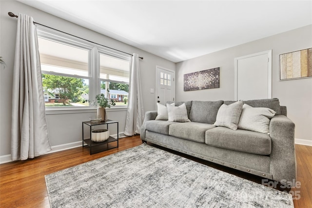 living room with hardwood / wood-style floors