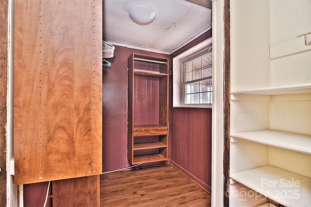 spacious closet featuring hardwood / wood-style flooring