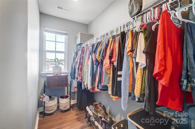 spacious closet with wood-type flooring