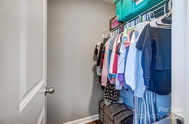 spacious closet featuring hardwood / wood-style floors