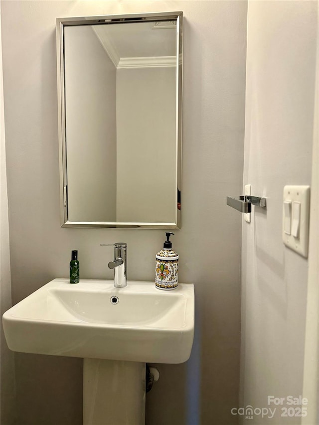 bathroom with sink and ornamental molding