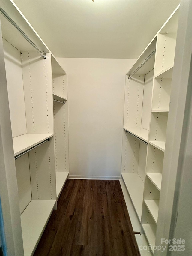 walk in closet with dark hardwood / wood-style flooring