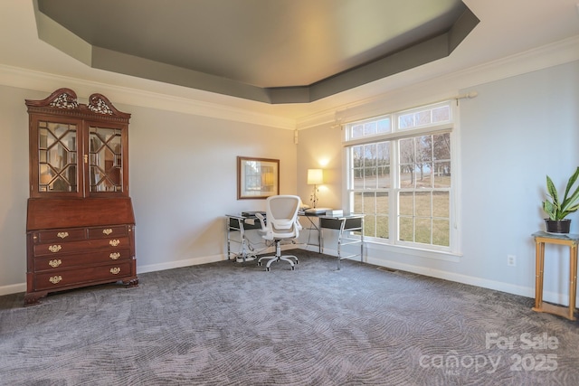 carpeted office space with crown molding and a raised ceiling