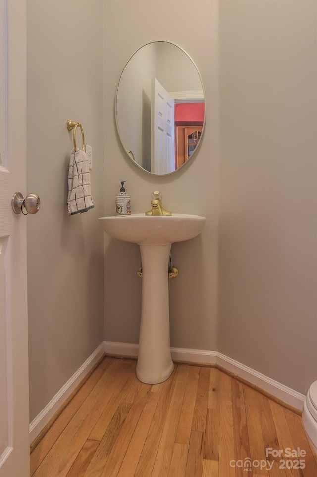 bathroom with wood-type flooring