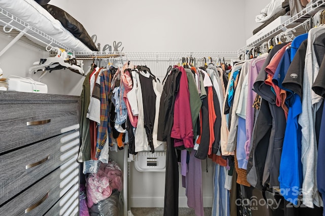 view of walk in closet