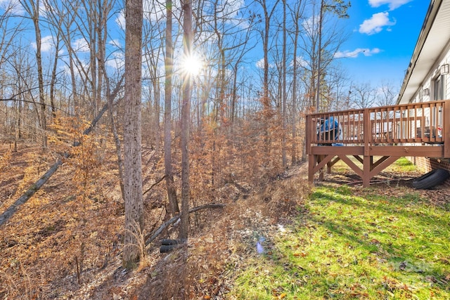 view of yard featuring a wooden deck