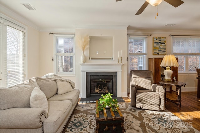 living room featuring ceiling fan, wood-type flooring, and ornamental molding