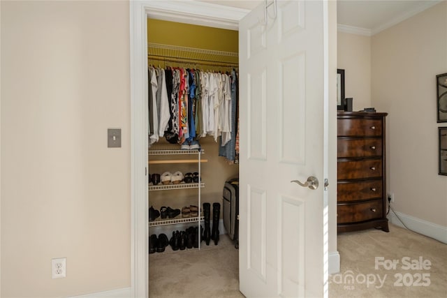 view of closet