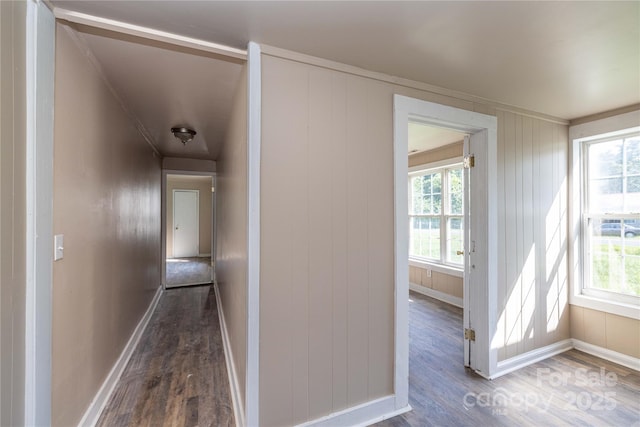 hall featuring dark hardwood / wood-style flooring and a healthy amount of sunlight