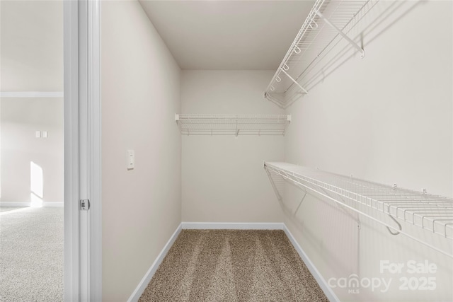 spacious closet with carpet flooring